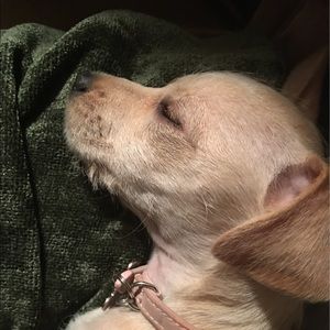 Meet your Posher, Beth